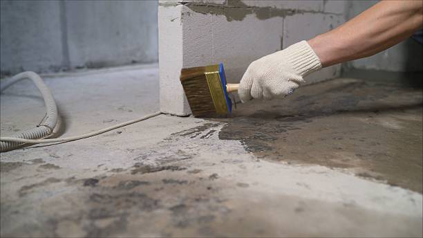 SJ Waterproofing Pros Waterproofing coverage map for Pittsford, MI and surrounding area